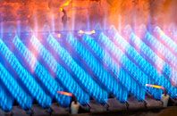 Bradpole gas fired boilers